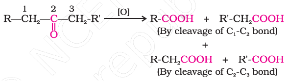 ocr_image