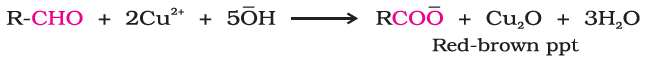 ocr_image