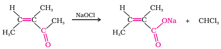 ocr_image