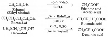 ocr_image
