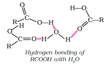 ocr_image