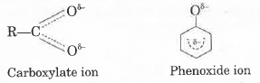 ocr_image