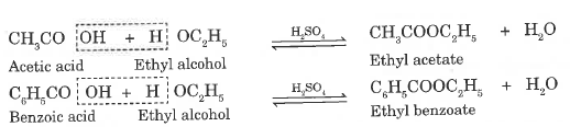 ocr_image