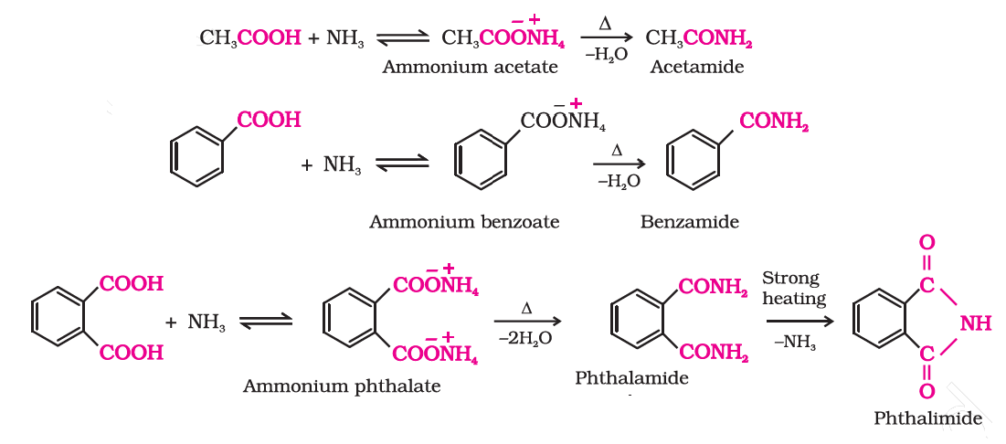 ocr_image