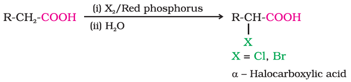 ocr_image
