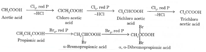 ocr_image