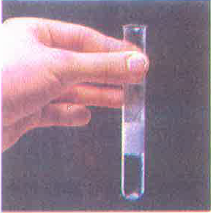 ocr_image