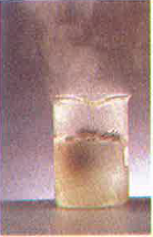 ocr_image