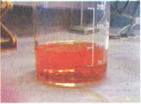ocr_image