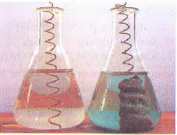 ocr_image