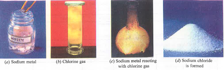 ocr_image