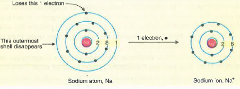 ocr_image