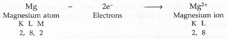 ocr_image