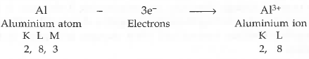 ocr_image