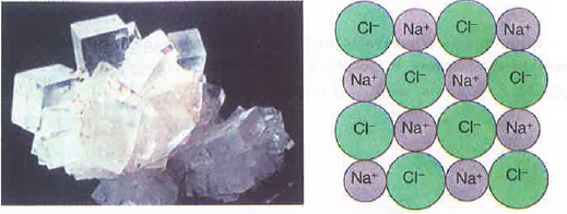 ocr_image