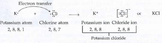 ocr_image