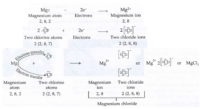 ocr_image