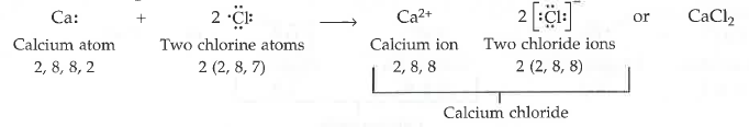 ocr_image