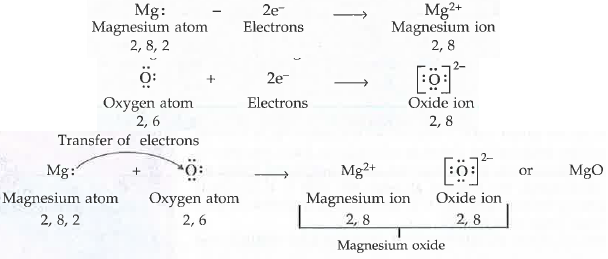 ocr_image
