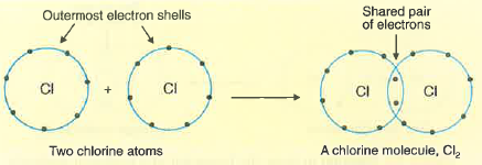 ocr_image