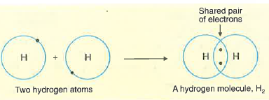 ocr_image