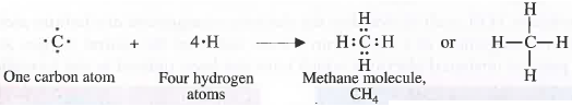 ocr_image
