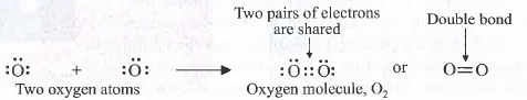 ocr_image