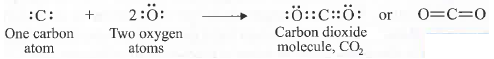 ocr_image