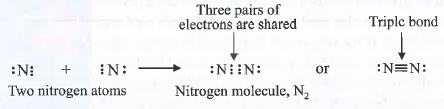 ocr_image