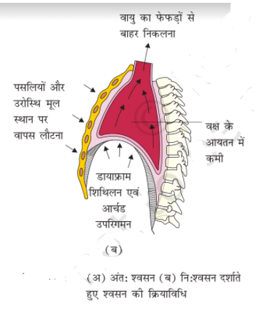 ocr_image