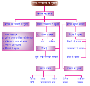 खाद्य संसाधनों में सुधार | Improvements in Food Resources Notes for RRB Group D 2025 3 Image