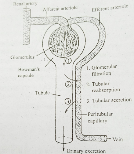 ocr_image