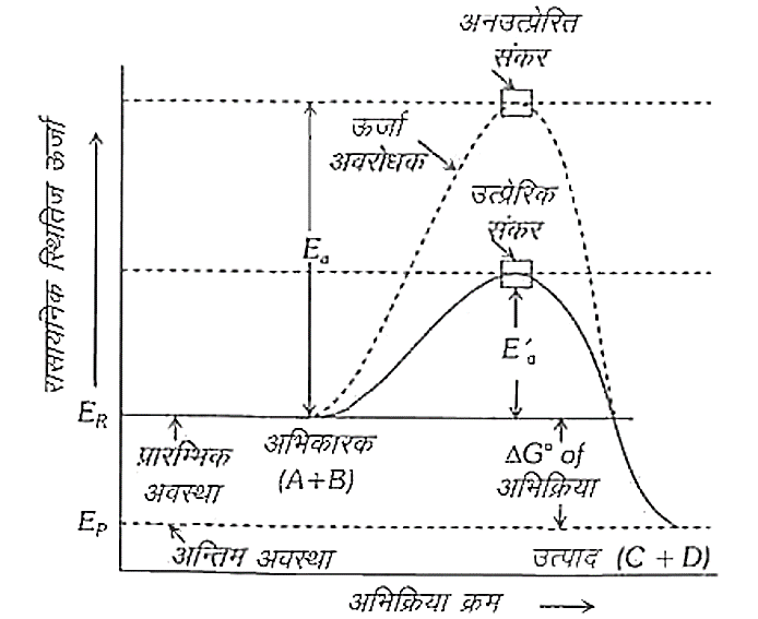 ocr_image