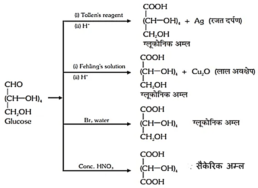 ocr_image