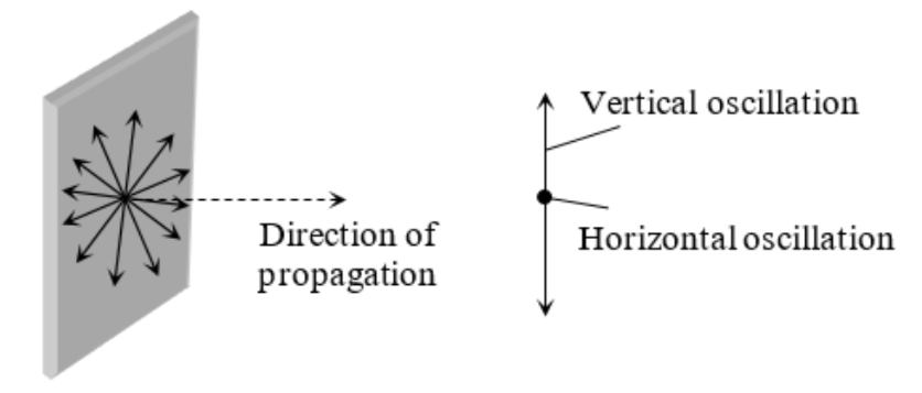 ocr_image