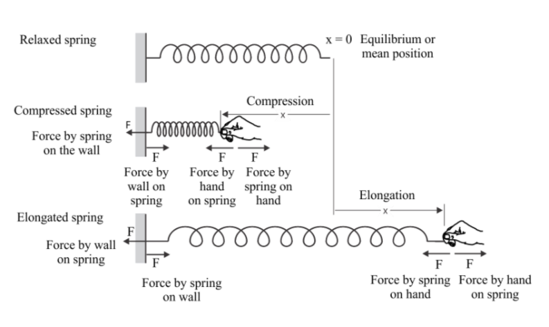 ocr_image