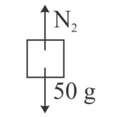 ocr_image
