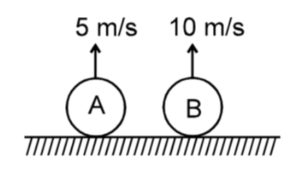 ocr_image