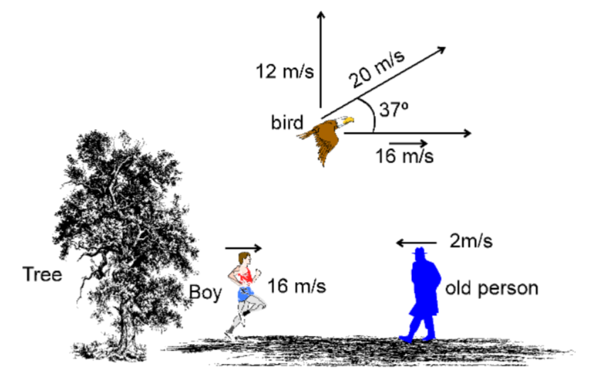 ocr_image
