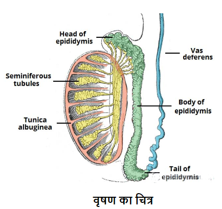 ocr_image