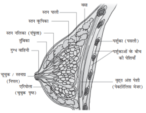 ocr_image