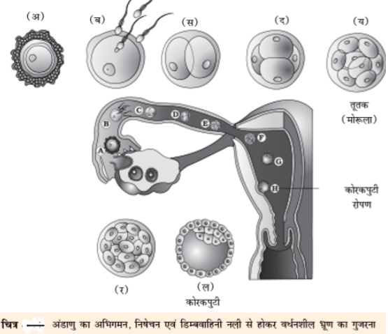 ocr_image