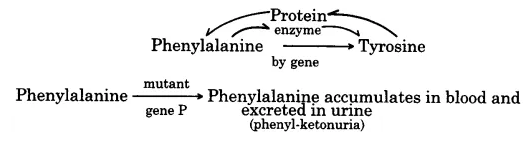 ocr_image