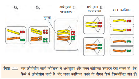 ocr_image