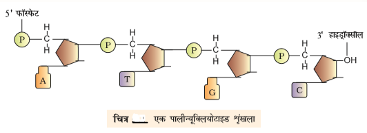 ocr_image