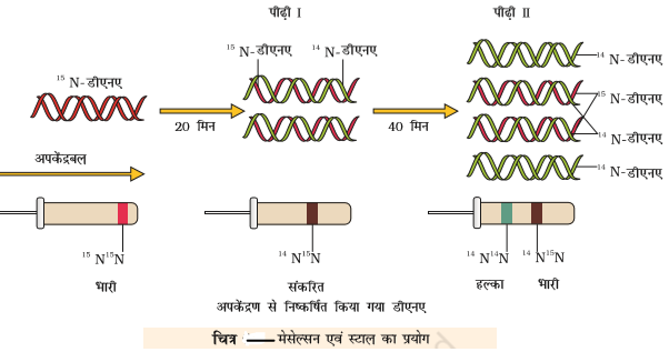 ocr_image