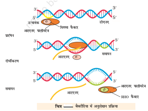 ocr_image