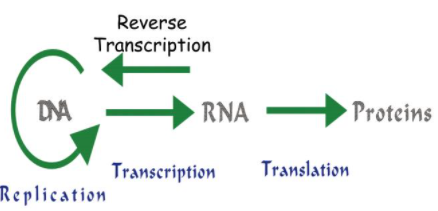 ocr_image