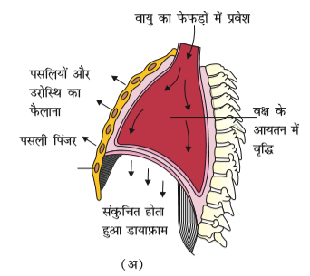 ocr_image