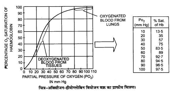 ocr_image